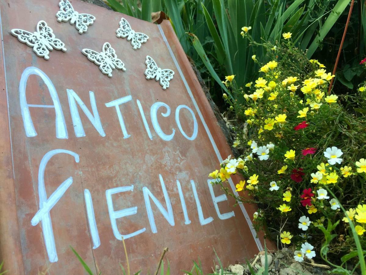 Antico Fienile Villa Celleno Ngoại thất bức ảnh